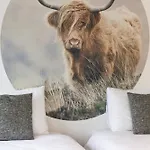 Clara's & Lili's Place By Le Jacquemart דירה *